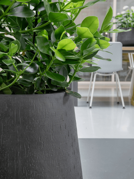 nieuwkoop-planters/6RDPAT114_2