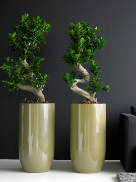 nieuwkoop-planters/6TOP00520_1