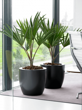 nieuwkoop-planters/6TOP00740_3
