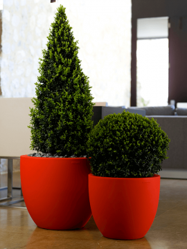nieuwkoop-planters/6VONCUES3_1