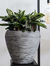 Кашпо Capi Nature Rib NL (Vase Taper Round Anthracite) Арт: 6CAPTIV74 3