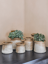 Кашпо Erva (Orchidpot Black Brown) Арт: 6DMP7258B 1