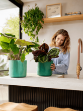 Кашпо The Ocean Collection (Round Pacific Green) Арт: 6ELHOC22G 1