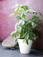 Кашпо Loft Urban (Round With Wheels White) Арт: 6ELHUW600 2