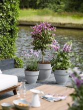 Кашпо Vibia (Campana Round Living Concrete) Арт: 6ELHVB20C 1