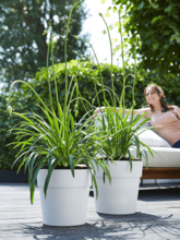 Кашпо Vibia (Straight Round White) Арт: 6ELHVBR4W 1