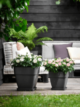 Кашпо Vibia (Campana Square Anthracite) Арт: 6ELHVBV0A 1