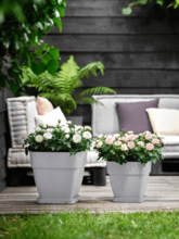 Кашпо Vibia (Campana Square Living Concrete) Арт: 6ELHVBV7C 1