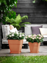 Кашпо Vibia (Campana Square Terra) Арт: 6ELHVBV7T 1