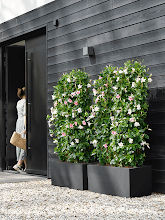 Кашпо Vivo Next (Long Rectangle Living Black) Арт: 6ELHVN80B 1