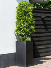 Кашпо Fiberstone (Bouvy XXL Black) Арт: 6FSTBOBXX 1