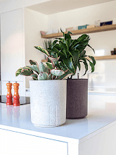 Кашпо Otium (Mensa Terracotta Cork) Арт: 6OTME19TC 1