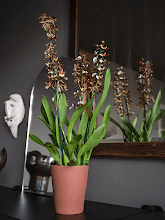 Кашпо Ceramic (Rosa M Peacan Brown) Арт: 6PPNCRMP1 1