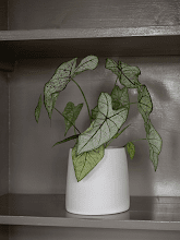 Кашпо Ceramic (Sofia S Vanilla White) Арт: 6PPNCSS13 2