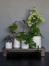 Кашпо Ceramic (Sofia S Funghi Beige) Арт: 6PPNCSSB1 1