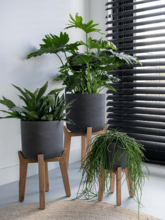 Кашпо Rough With Feet High (Charlie XL Black Washed) Арт: 6PPNRCH06 1