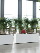 Кашпо Prestige Plus Rectangular (High shine) Арт: 6PRG02420 2