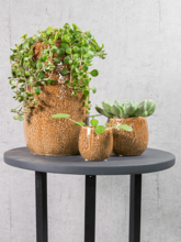 Кашпо Mischa (Pot Caramel) Арт: 6PTR65759 1