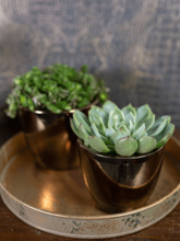 Кашпо Sven (Pot Gold) Арт: 6PTR65875 1