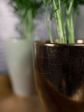 Кашпо Sven (Pot Gold) Арт: 6PTR65878 2