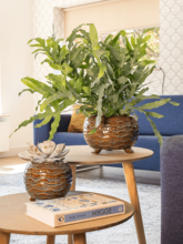 Кашпо Dewi (Pot Marrakech) Арт: 6PTR66706 1