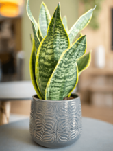 Кашпо Sytse (Pot Anthracite) Арт: 6PTR66877 1