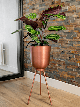 Кашпо Mayk (Pot On Feet Copper) Арт: 6PTR69476 1