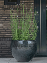 Кашпо Thom (Pot Black (set of 4)) Арт: 6PTR69816 1