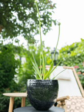 Кашпо Thom (Pot Black (set of 4)) Арт: 6PTR69816 2