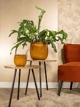 Кашпо Charlotte (Pot Ochre) Арт: 6PTR70600 1