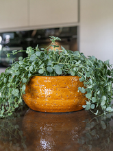 Кашпо Jolin (Bowl Ochre) Арт: 6PTR70989 1