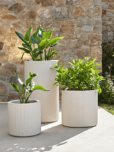 Кашпо Gatsby (Basic Cilindro color:) Арт: 6VONGAT02 2