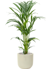 Кашпо Capi Nature Groove Special (Planter Ball Beige) Арт: 6CAPGE134 2