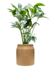 Кашпо Baq Raindrop (Cylinder Brown Beige) Арт: 6RDPBB401 1