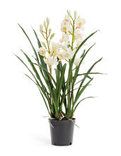 Орхидея Цимбидиум белая куст в кашпо 2 ветки искусственная 10.0610058