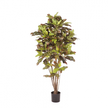 treez/10.37604N_10.37605N_10.37606N_10.37608N