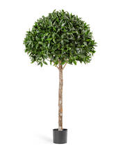 Лавр шар Максима в-170 см д-90 искусственный 10.50006N