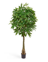 Пахира на витом стволе (косичка) искусственная 10.58606N