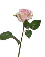Роза Джулии нежно-розовая с кремовым искусственная 30.03160260LP