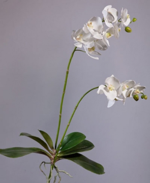 Орхидея Фаленопсис белая куст с корнями искусственная 30.0610039WH