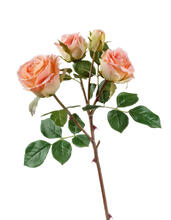 Роза Флорибунда ветвь розово-персиковая искусственная 30.0610053PCH_prime, 30.0610053PCH