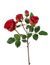 Роза Флорибунда ветвь красная искусственная 30.0610053RD