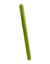 Бамбук стебель полый св. зелёный толстый искусственный 30.0611062SM
