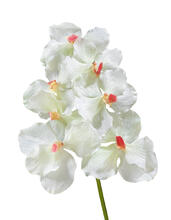 Орхидея Ванда белая с роз. сердцевинкой искусственная 30.0611083CR