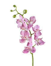 Орхидея Фаленопсис Элегант розово-белая искусственная 30.0611087LPK