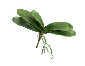 Листья Орхидеи Фаленопсис большие с корнями искусственная 30.0616193