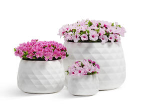 Кашпо TREEZ ERGO - Diamond - Низкая чаша - Белый камень 41.1020-0036-WH-52 4