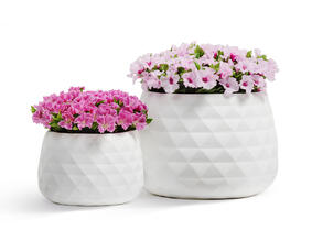 Кашпо TREEZ ERGO - Diamond - Низкая чаша - Белый камень 41.1020-0036-WH-52 5