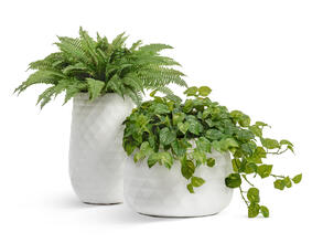 Кашпо TREEZ ERGO - Diamond - Низкая чаша - Белый камень 41.1020-0036-WH-52 6