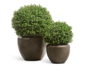 Кашпо TREEZ Effectory - Metal - Чаша Design - Чернёная бронза 41.3321-07-046-GRP-40, 41.3321-07-046-GRP-56 4